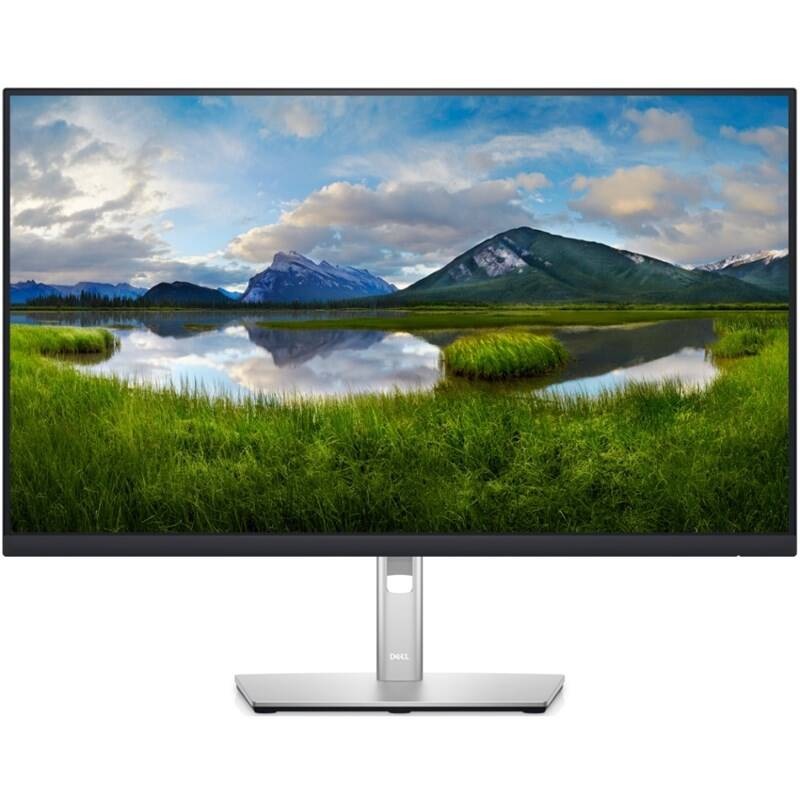 Dell Professional P2422H