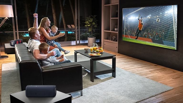 Televize LG OLED55A1