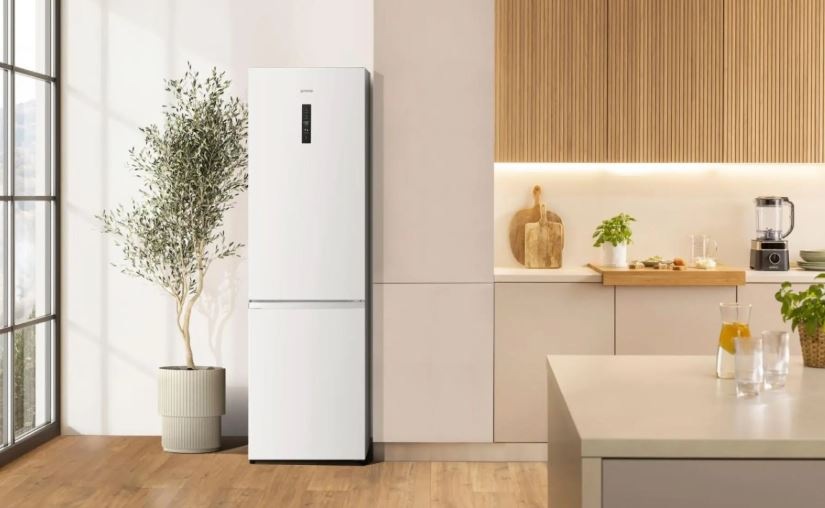 Chladnička s mrazničkou Gorenje G600 NRK620EAW4 bílá bílá lednice Gorenje NRK620EAW4 stojí ve světlé kuchyni. Vedle lednice je rostlina v květináči.
