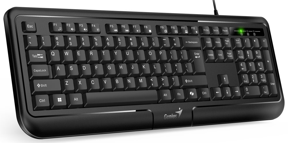 Klávesnice Genius KB-118 ver. II, copilot, USB, CZ+SK layout černá Klávesnice Genius KB-118 ver. II, copilot, USB, CZ+SK layout černá
