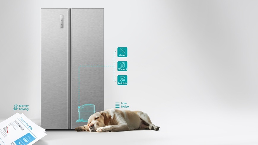 Americká lednice Hisense RS3P558NEIC nerez Moderní nerezová lednice s tichým provozem v minimalistickém interiéru doplněná spícím psem symbolizujícím nízkou hlučnost a energetickou úspornost.
