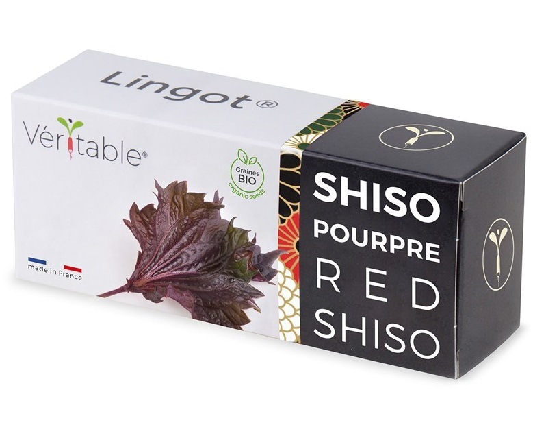 Semínka Véritable Lingot Fialový shiso BIO