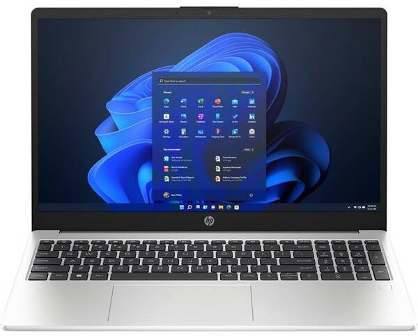 Notebook HP 255 G10 stříbrný