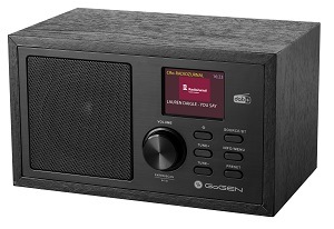 Radiopřijímač s DAB+ GoGEN DAB 620 BTCB černý