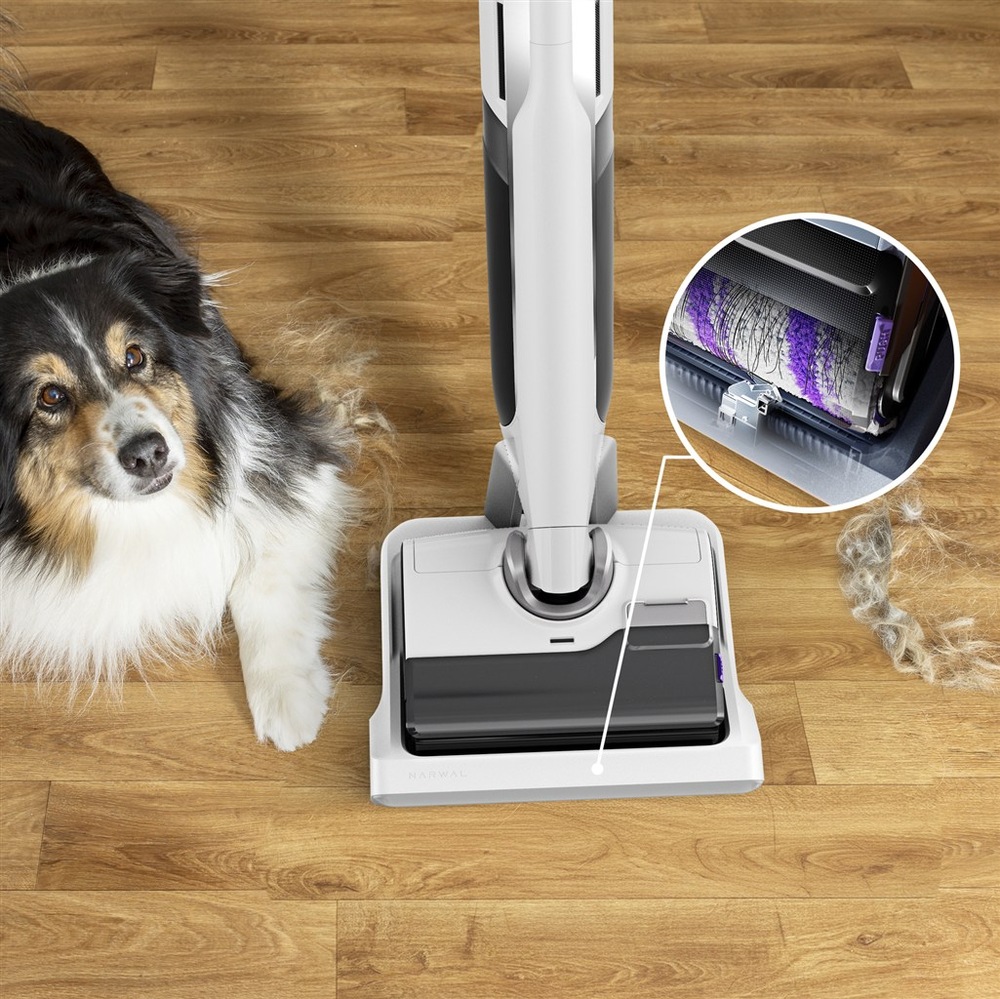 Podlahová myčka Rowenta GZ7257E0 X-Clean 12 Wet & Dry Animal bílá Podlahová myčka Rowenta u psa na dřevěné podlaze s detailem válce proti namotávání chlupů