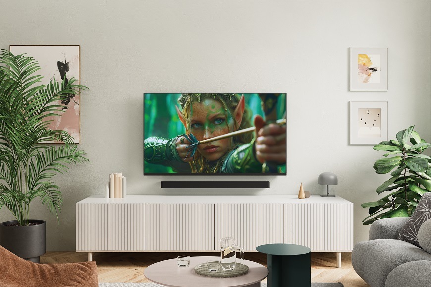 Televize Sony Bravia 2 MII 55" Televize Sony Bravia 2 MII v interiéru
