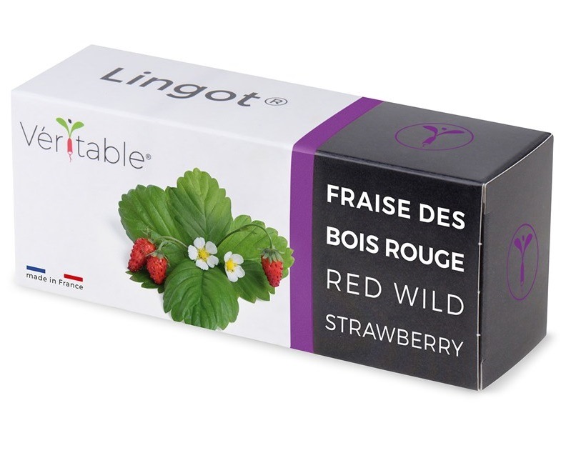 Semínka Véritable Lingot Divoké červené jahody