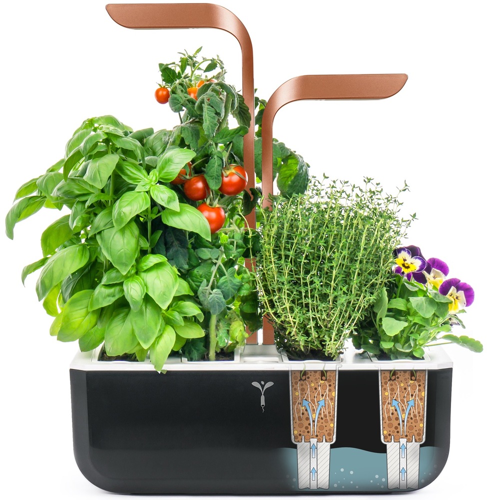 Chytrý květináč Véritable SMART s vypěstovanými bylinkami