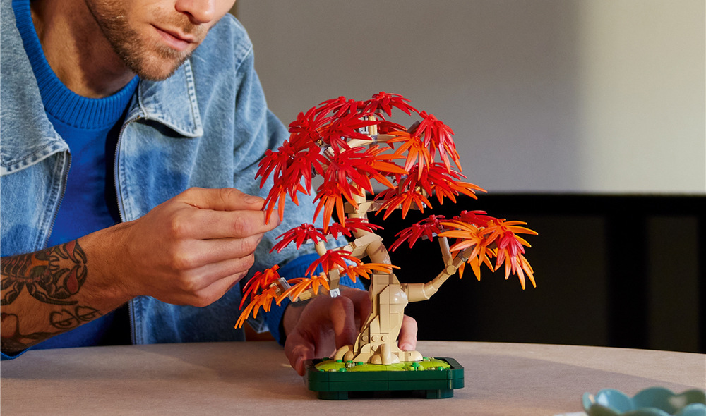 Tento model inspirovaný japonským javorem přináší výraznou podzimní dekoraci bez nutnosti jakékoli péče.