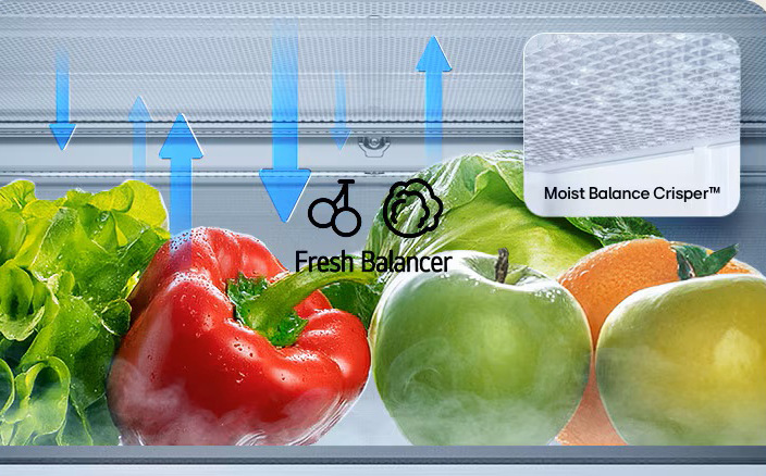 Chladnička s mrazničkou LG GBBS312BEV černá Zásuvky Fresh Balancer udržují ideální vlhkost, díky čemuž ovoce a zelenina zůstávají déle šťavnaté a kvalitní.