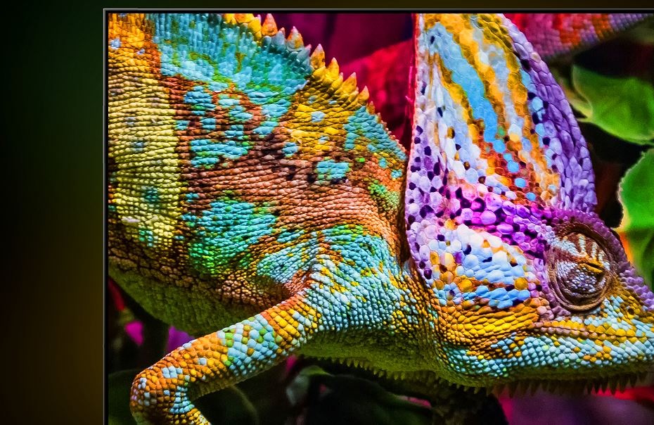 Chameleon na části obrazovky televize Hisense jako znázornění velkého množství různých barev a odstínů.