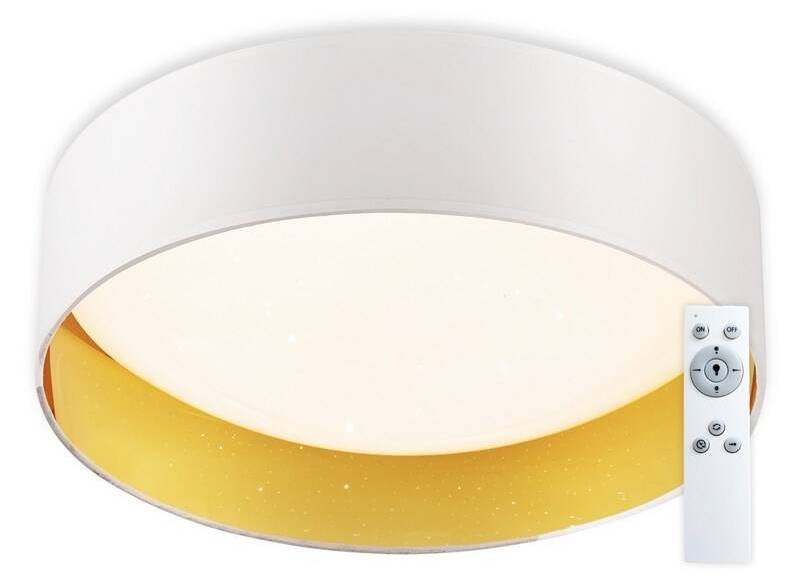 Stropní svítidlo Top Light Ivona 40B RC - bílé
