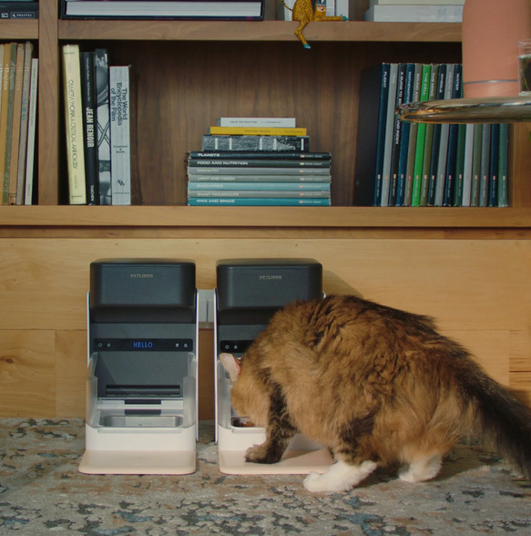 Chytré krmítko Petlibro RFID s obojkem 3 l černé/bílé Chytré krmítko Petlibro RFID s obojkem 3 l černé/bílé