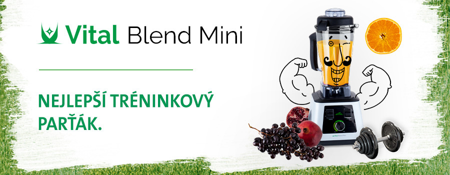 Stolní mixér ETA Vital Blend Mini 2100 90000 černý/zelený