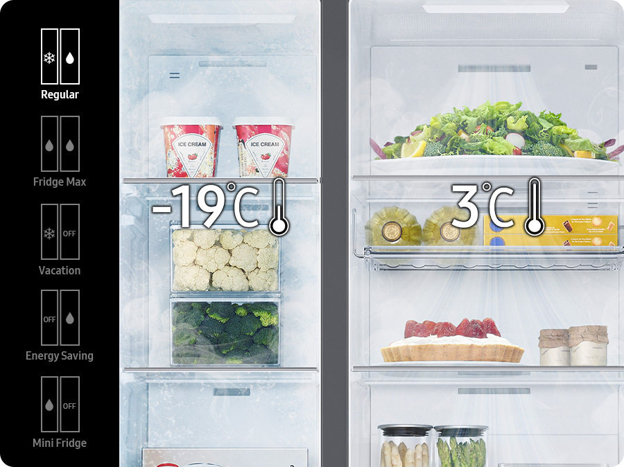 Americká lednice Samsung RS66DG815CSLEF stříbrná Lednice a schéma 5 nastavitelných režimů chlazení