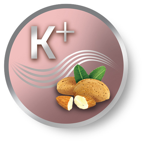 Kulma Remington Keratin Protect CI83V6 E51