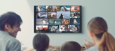 Televize Sony KD-75XG9505