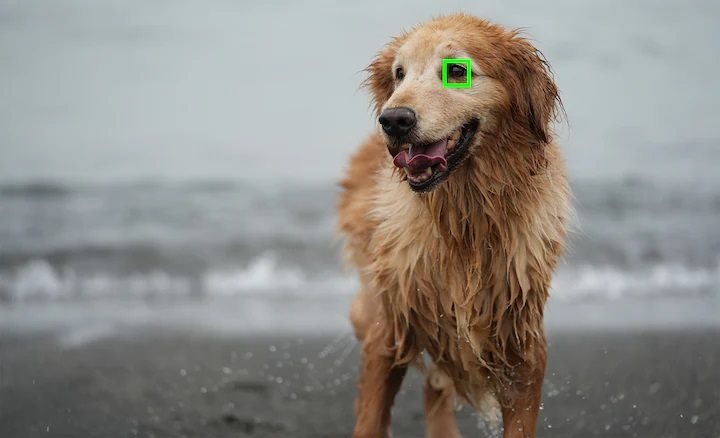 Digitální fotoaparát Sony Alpha A7 IV, tělo černý Digitální fotoaparát Sony Alpha A7 IV, tělo černý