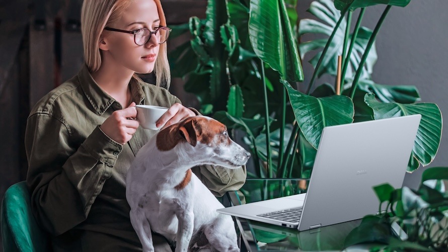 Dell 14 Plus 2v1 vyniká i v otázce připojení
