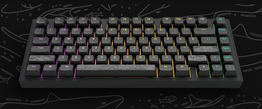 Klávesnice Dark Project ALU Terra Nostra R2, US černá Klávesnice Dark Project ALU Terra Nostra R2, US černá