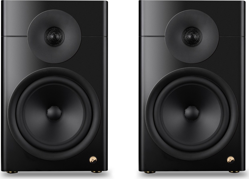 Reproduktory Swan D810 (2 ks) hnědé Regálové reproduktory z předního pohledu s výškovým a středobasovým reproduktorem