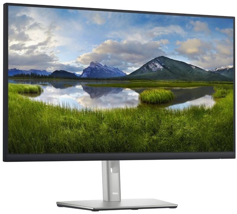 Monitor Dell Professional P2422H černý/stříbrný Dell Professional P2422H