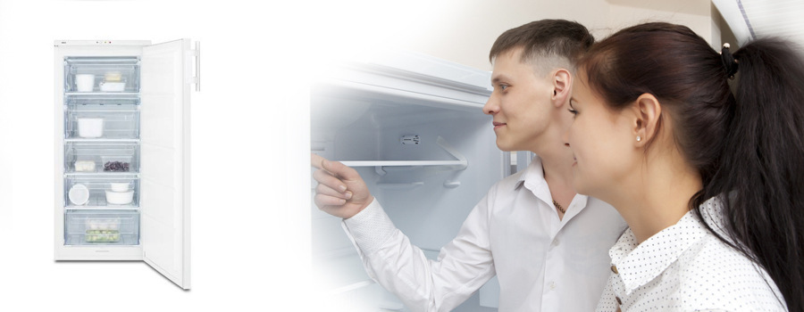 Mraznička Electrolux EUF1900AOW bílá