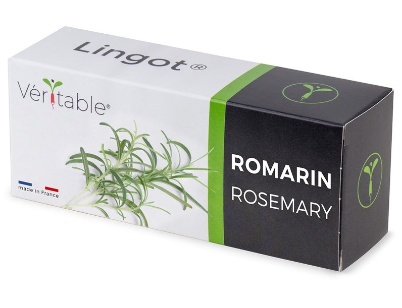 Semínka Véritable Lingot Rozmarýn