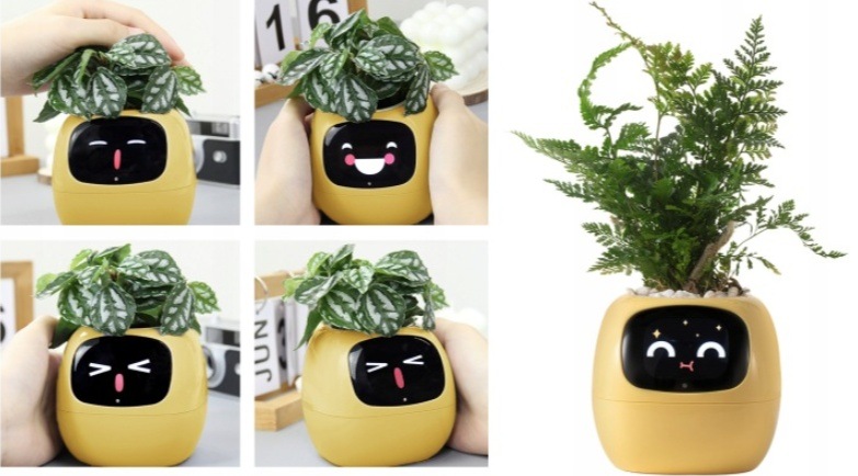 Chytrý květináč Plantsio IVY - žlutá
