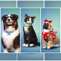 Hra EA PC The Sims 4 - Psi a Kočky