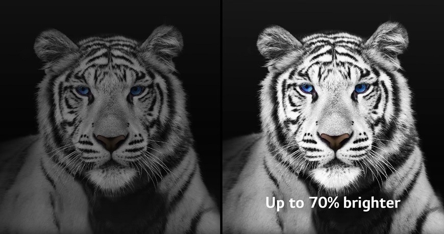 Televize LG OLED55G3 funkce_brightness_booster_max