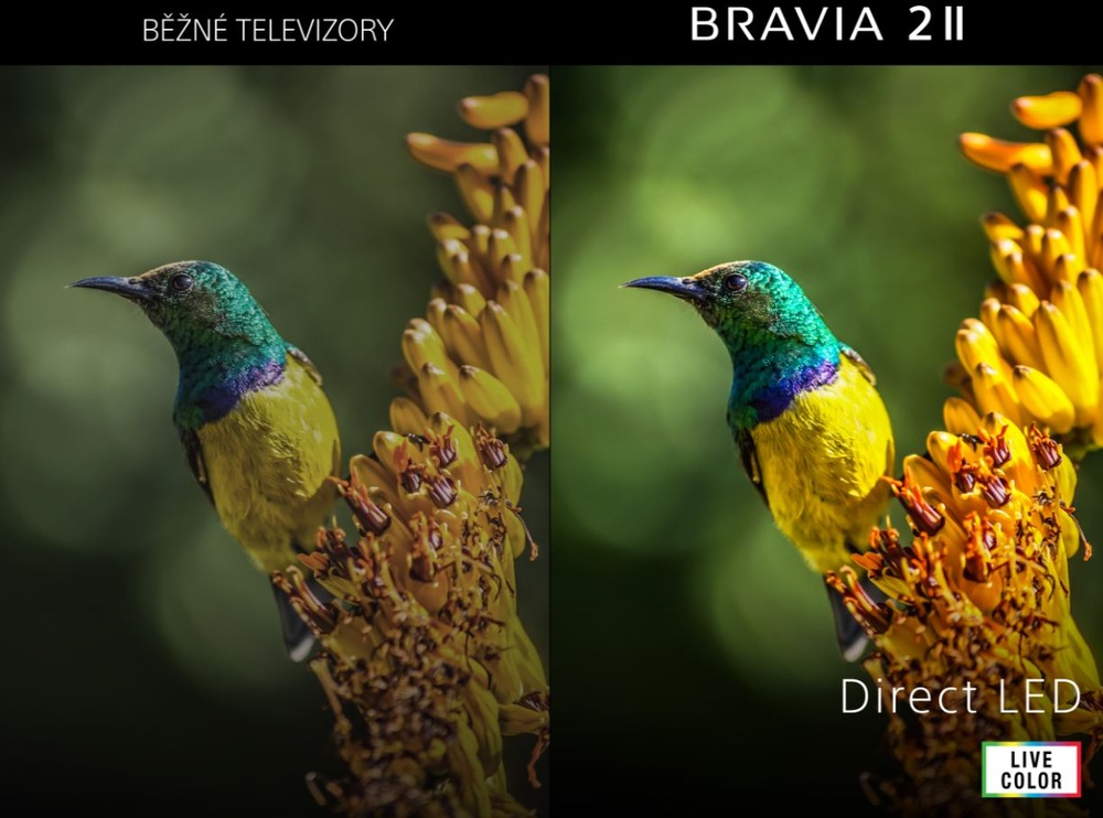 Televize Sony Bravia 2 MII 55" Televize Sony Bravia 2 MII vylepšení obrazu BRAVIA