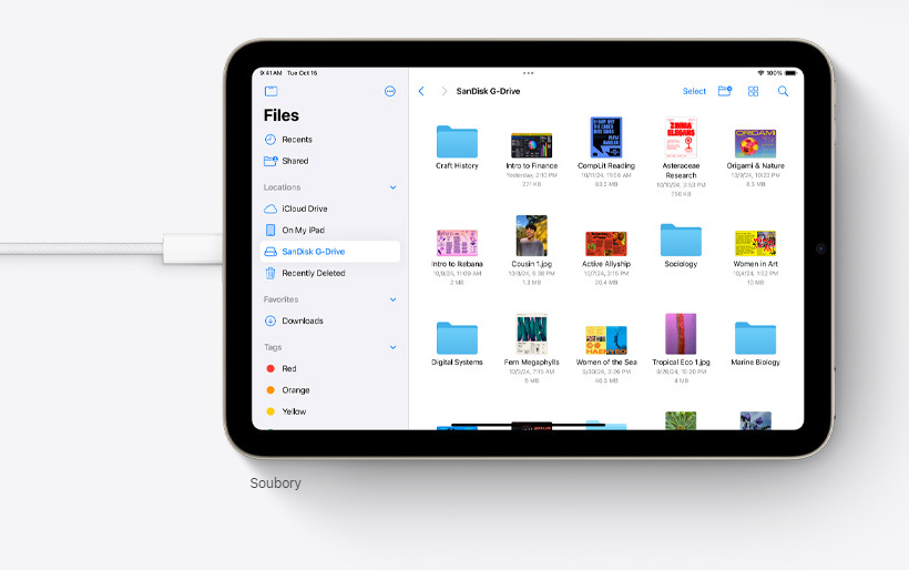 Dotykový tablet Apple iPad mini (2024) Wi-Fi + Cellular 256 GB - hvězdně bílý