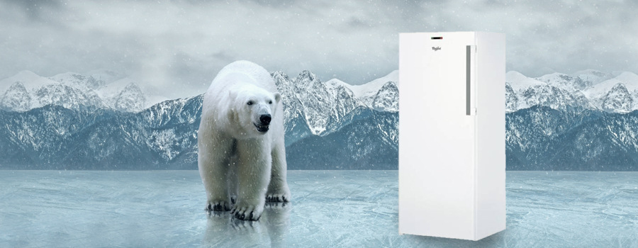 Mraznička Whirlpool UW4 F2Y WB F bílá Mraznička Whirlpool UW4 F2Y WB F