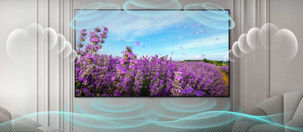 Televize LG 65QNED91T6A LGG65QNED91T