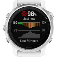 Chytré hodinky Garmin fenix6S Glass černé/stříbrné Chytré hodinky Garmin fenix6S Glass černé/stříbrné