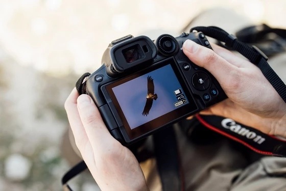Digitální fotoaparát Canon EOS R7, tělo černý Canon EOS R7, černá