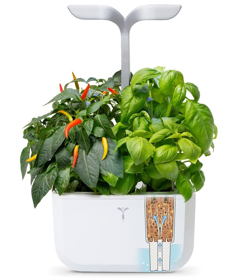 Chytrý květináč Véritable Exky SMART bílý Chytrý květináč Véritable Exky SMART s vypěstovanými bylinkami