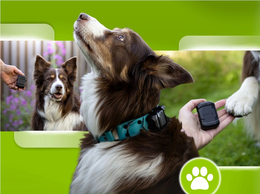 GPS lokátor Mala tracker pro psy černý Když se váš mazlíček zatoulá, bez problémů ho zase rychle najdete