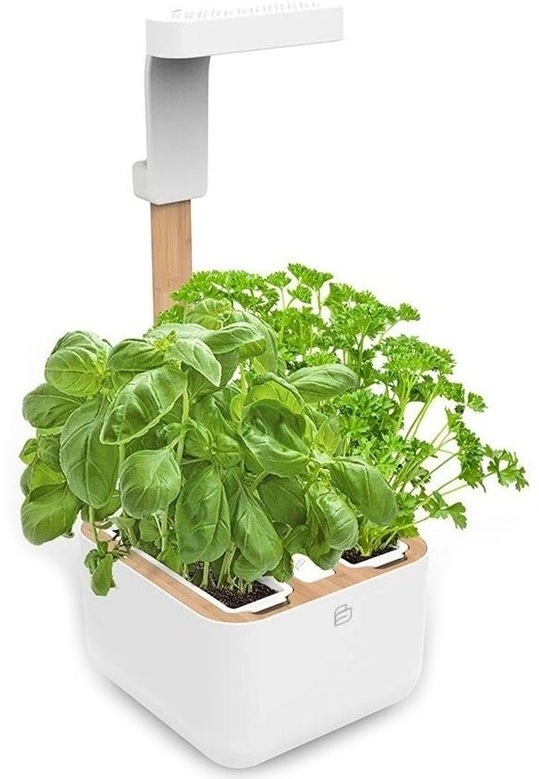 Chytrý květináč Véritable BOTANEO s vypěstovanými bylinkami