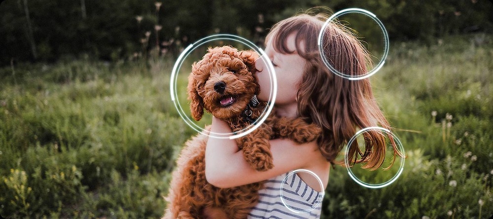 Samsung QE77S95F Dítě drží v náruči psa, zakroužkované 4 oblasti obsahu s detailnějším obrazem - 4K AI Upscaling Pro