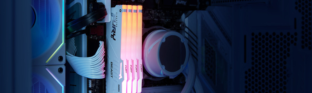DIMM Kingston FURY Beast White RGB EXPO 32 GB (2× 16 GB) (KF560C30BWEA2-32)