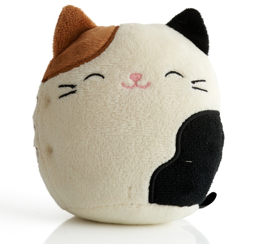 Přenosný reproduktor Lazerbuilt Squishmallows Cam z čelní strany