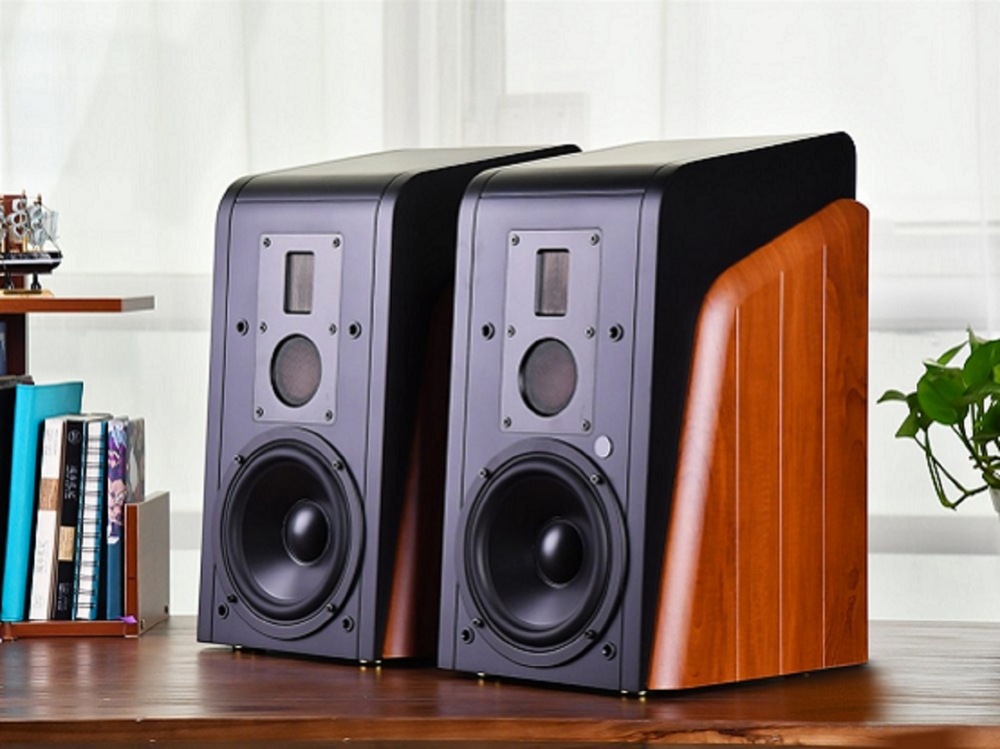 Reproduktory Swan M300MKII (2 ks) hnědé Swan M300MKII s dřevěným povrchem vystavené na stole