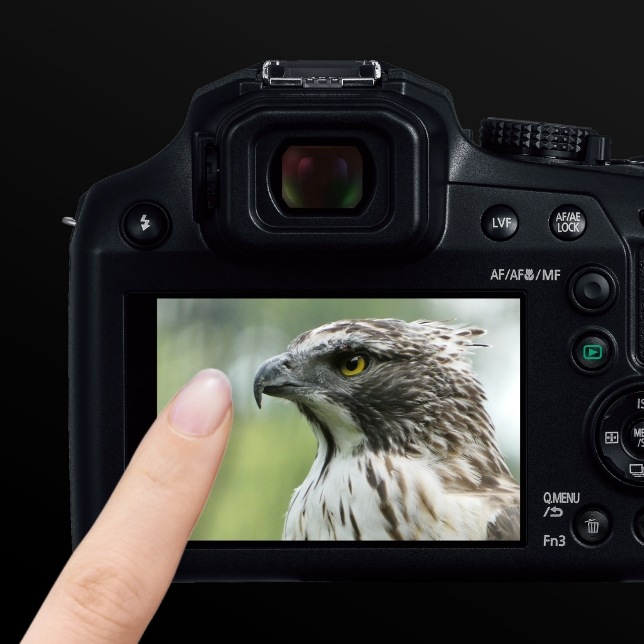 Digitální fotoaparát Panasonic Lumix DC-FZ82D černý Panasonic Lumix DC-FZ82DE-K