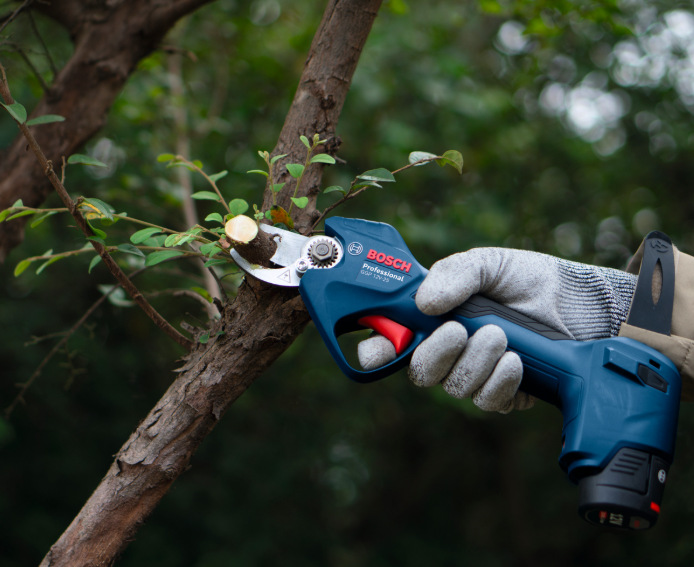 Bosch Professional GGP 12V-25 při přesném řezu větve na stromě v zahradě
