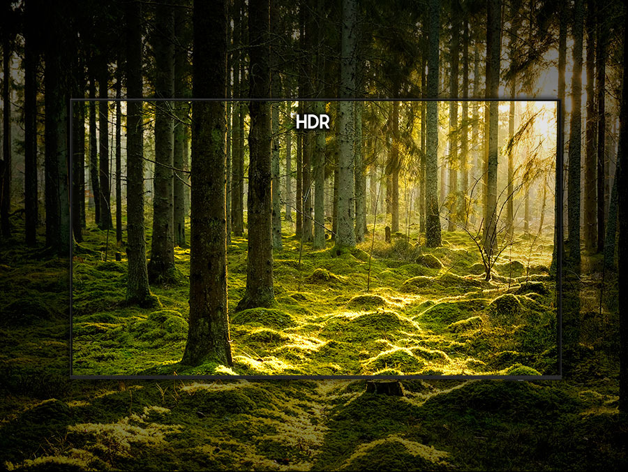Televize Samsung lesní scéna HDR obraz