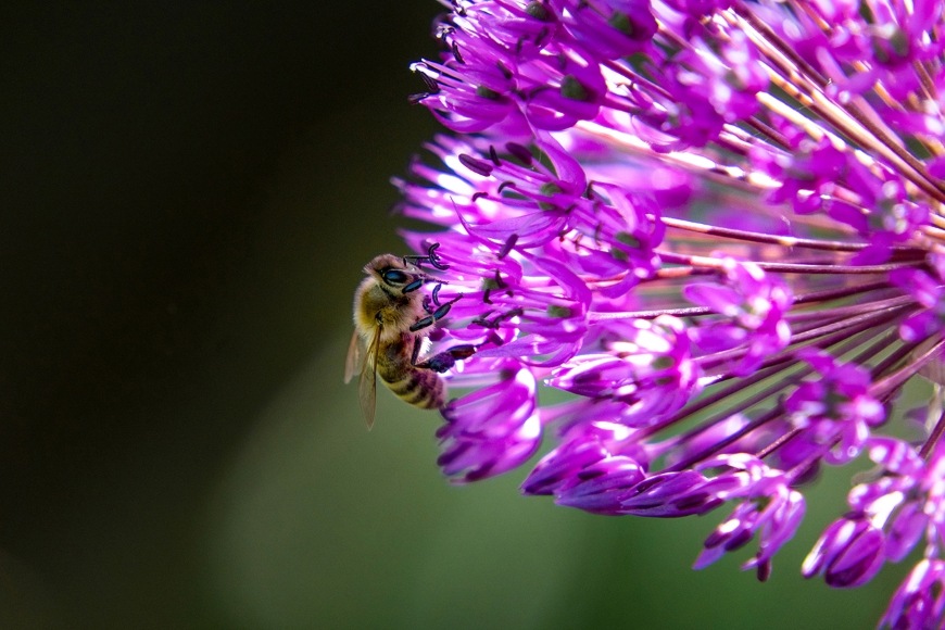 Tamron 18–300 mm f/3.5–6.3 Di III-A VC VXD (Nikon Z), černá