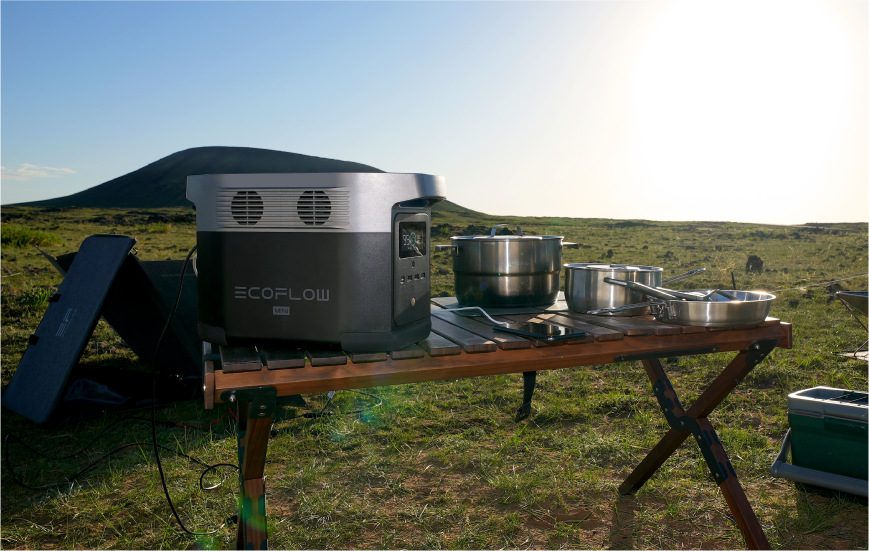 Nabíjecí stanice EcoFlow DELTA mini (882 Wh)