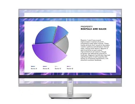 Monitor Dell Professional P2422H černý/stříbrný Dell Professional P2422H